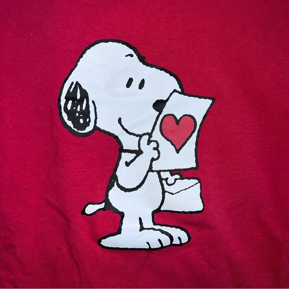Peanuts Snoopy and Woodstock Valentines Day Pajama Set - Picture 3 of 14